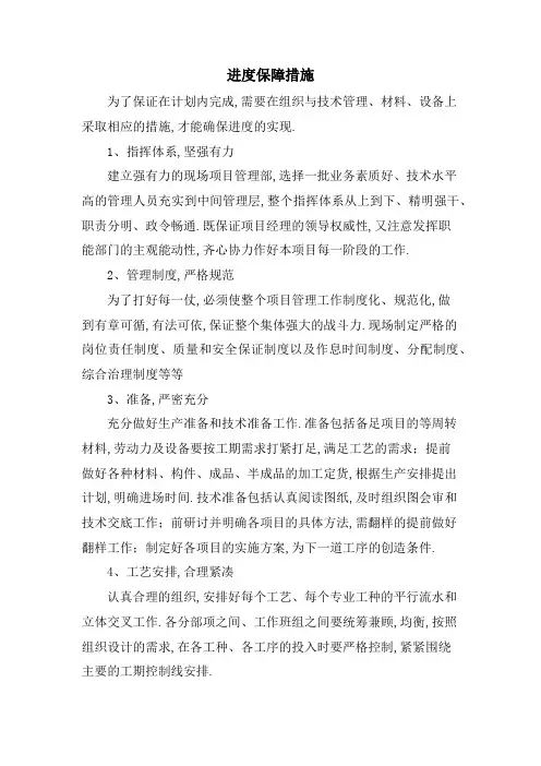 进度保障措施
