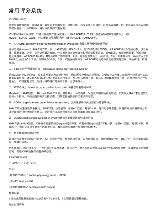 常用评分系统