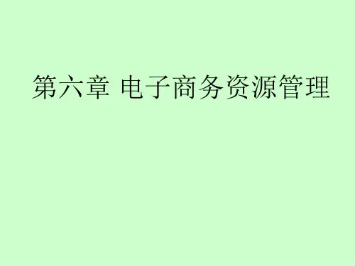 电子商务资源管理ppt课件