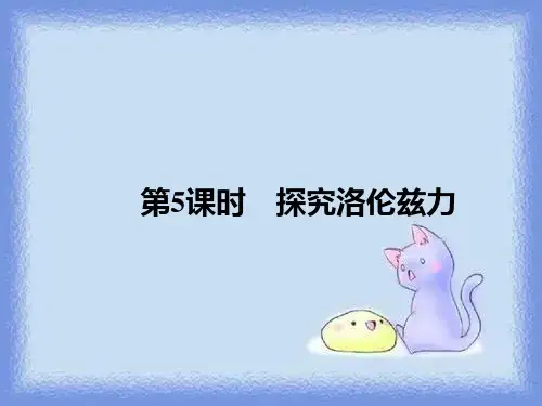 探究洛伦兹力