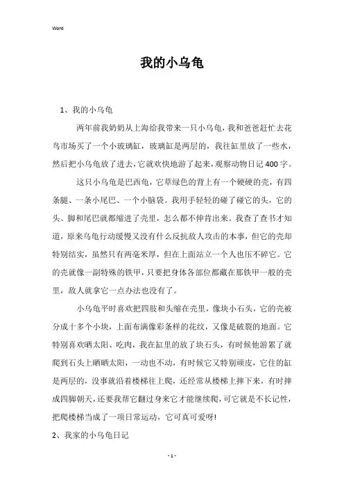 我的小乌龟