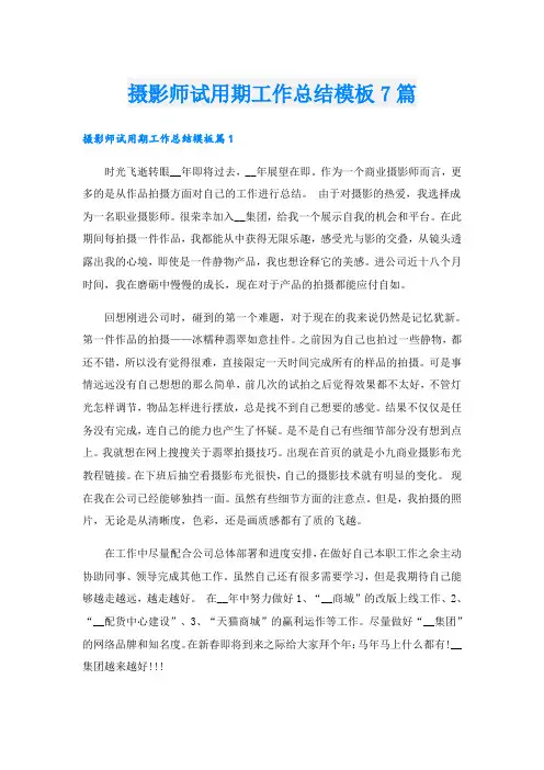 摄影师试用期工作总结模板7篇