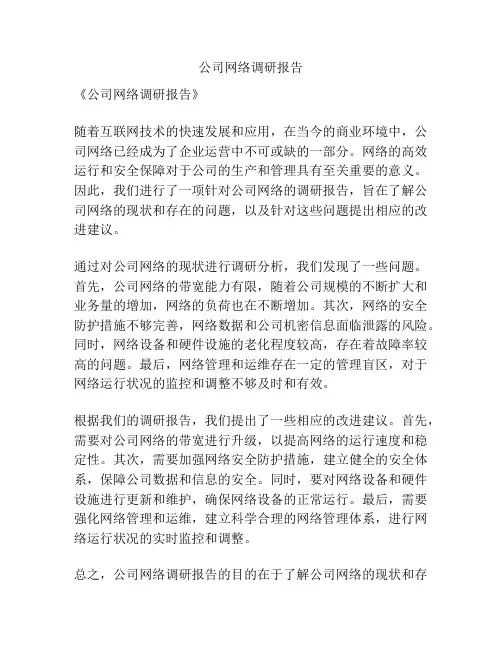 公司网络调研报告