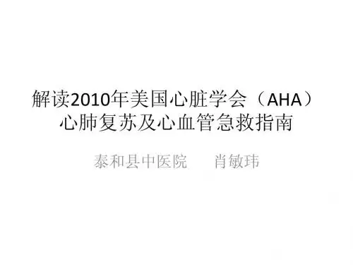 解读2010年美国
