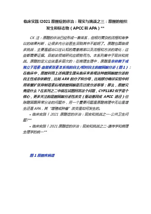 临床实践l2021原醛症的诊治：现实与挑战之三：原醛的组织发生和标志物（APCC和APA）