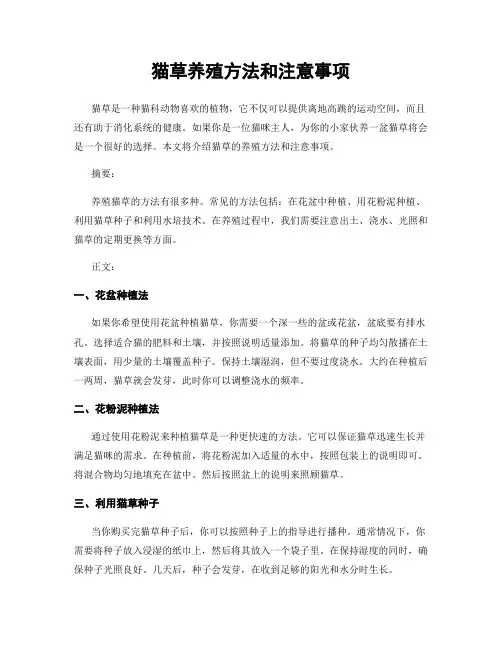 猫草养殖方法和注意事项