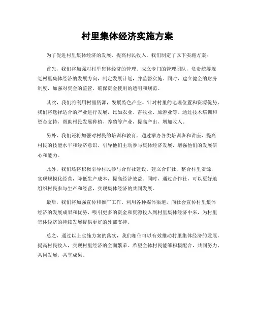 村里集体经济实施方案