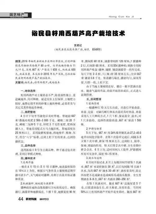 裕民县籽用西葫芦高产栽培技术