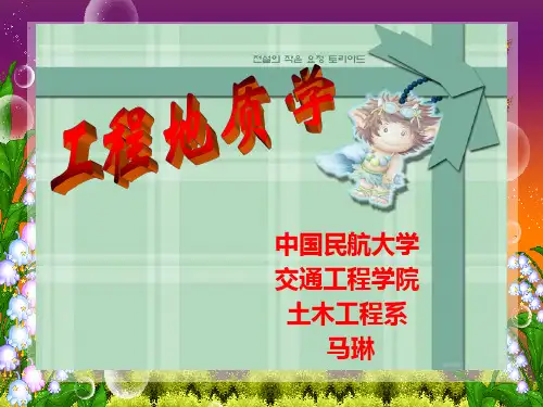 第八讲   原位测试.