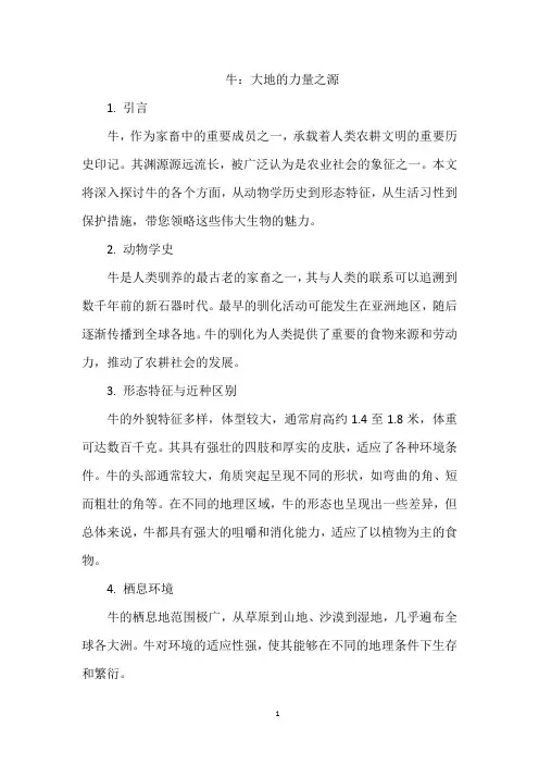 牛：大地的力量之源