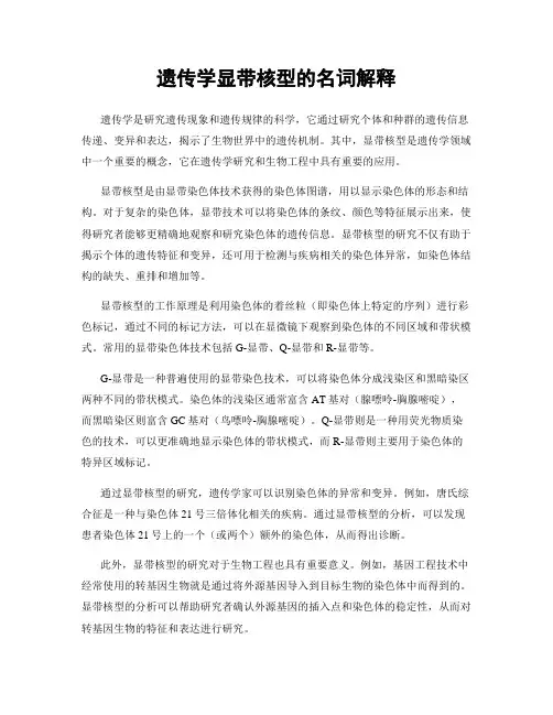 遗传学显带核型的名词解释