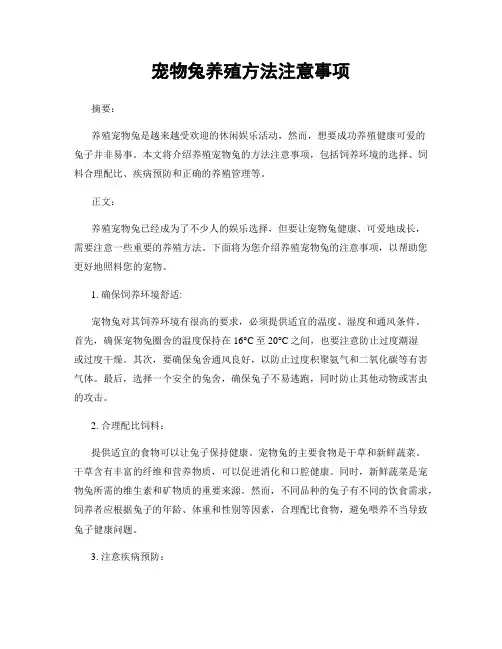 宠物兔养殖方法注意事项