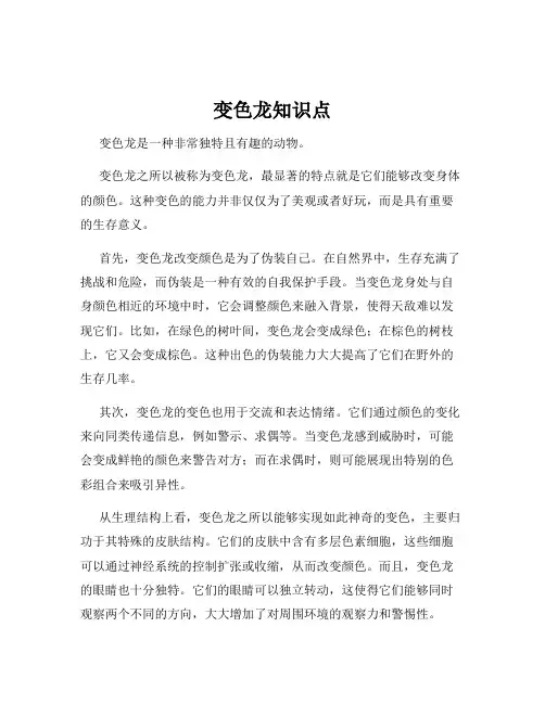 变色龙知识点