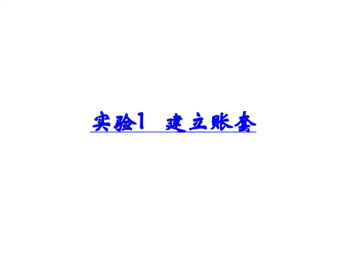 教学课件：《会计电算化》(中职)