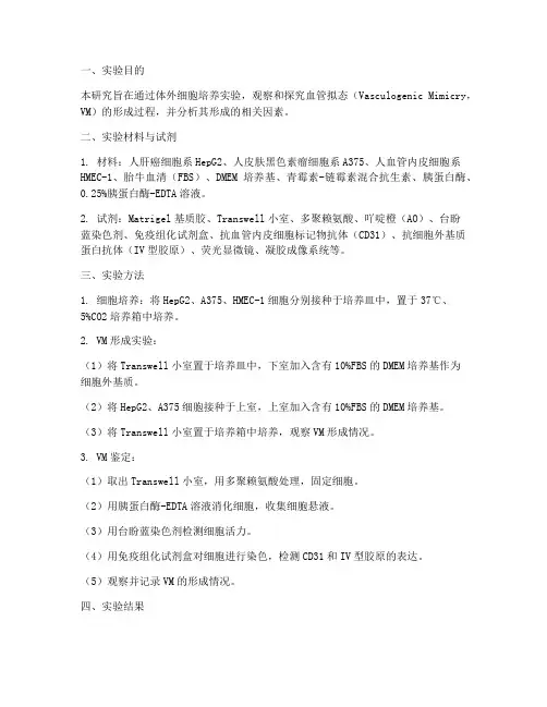 血管拟态形成实验报告