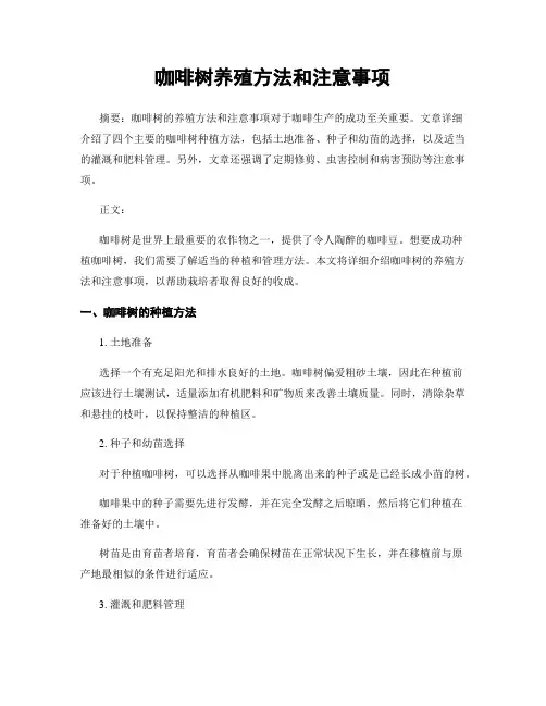 咖啡树养殖方法和注意事项