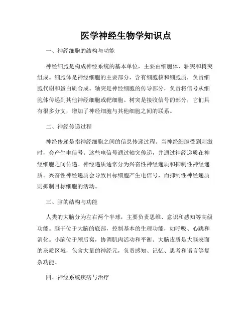 医学神经生物学知识点