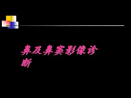 鼻及鼻窦影像诊断