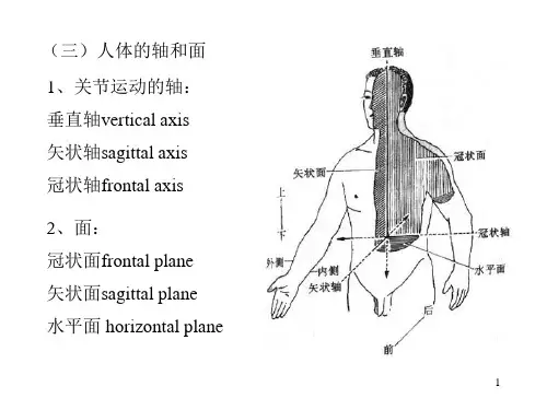 系统解剖学绪论骨学PPT课件