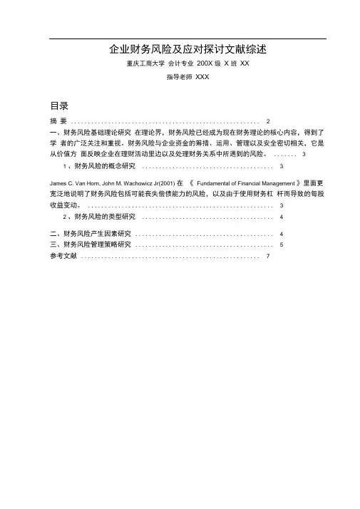 企业财务风险和应对文献综述