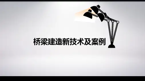 公路工程桥梁建造新技术及案例PPT
