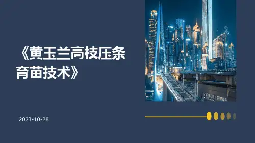 黄玉兰高枝压条育苗技术
