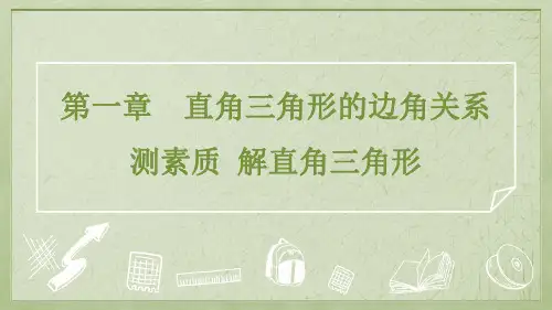 2025年北师大版九年级下册数学第1章测素质 解直角三角形