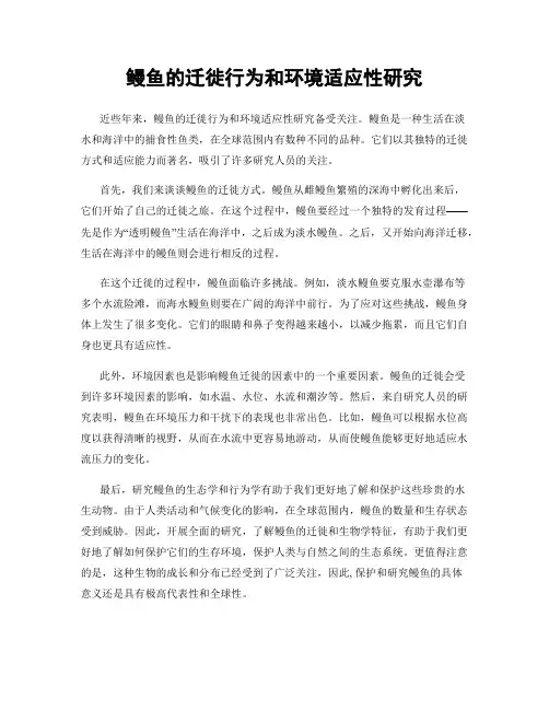 鳗鱼的迁徙行为和环境适应性研究