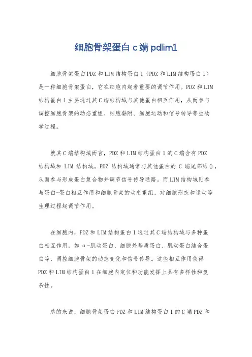 细胞骨架蛋白c端pdlim1
