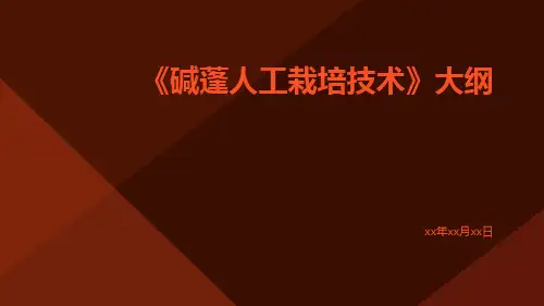 碱蓬人工栽培技术