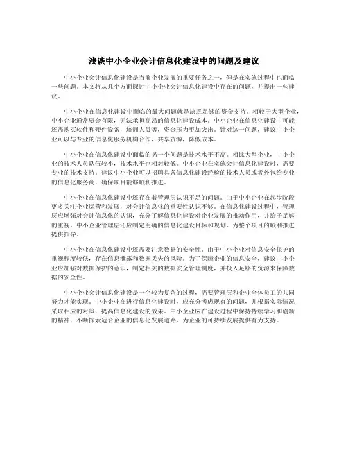 浅谈中小企业会计信息化建设中的问题及建议