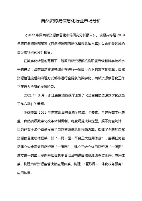 自然资源局信息化行业市场分析
