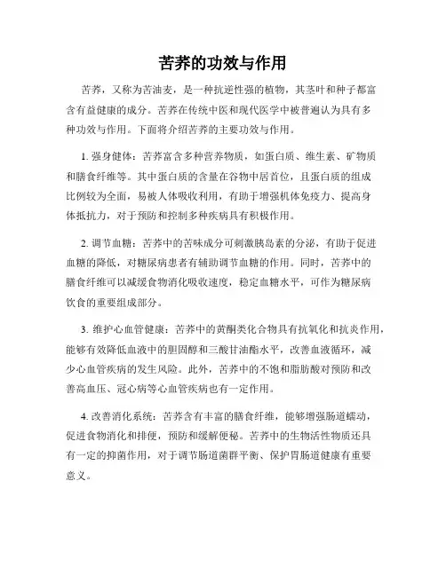 苦荞的功效与作用