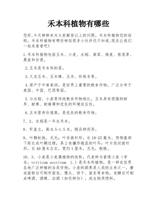 禾本科植物有哪些