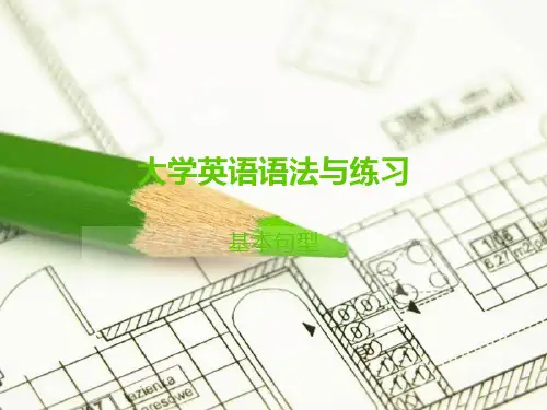 大学英语语法与练习