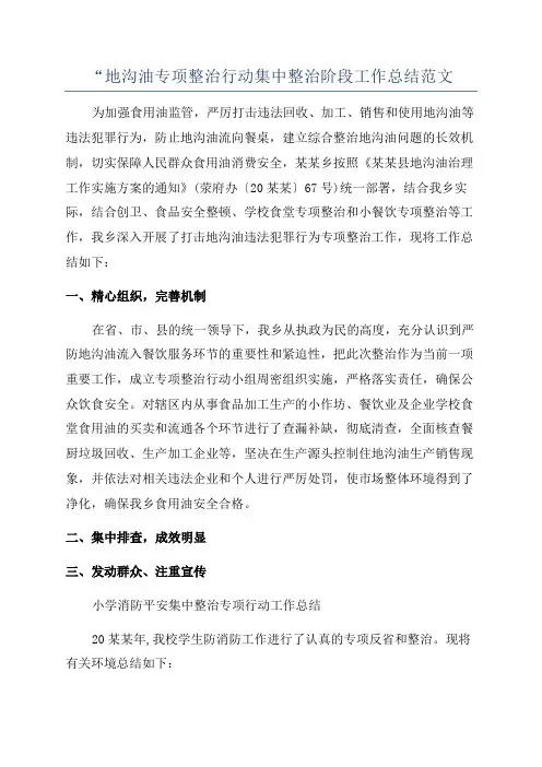 “地沟油专项整治行动集中整治阶段工作总结范文
