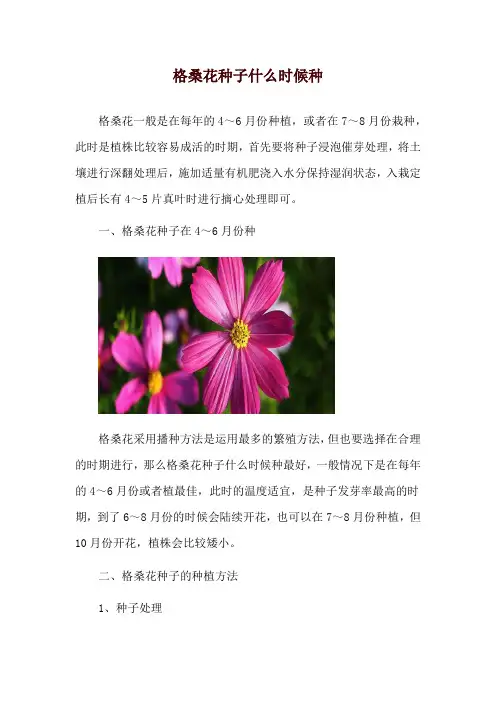 格桑花种子什么时候种