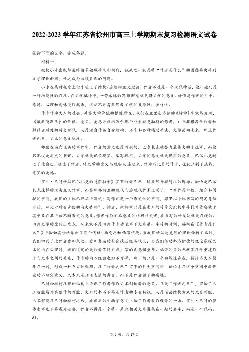 2022-2023学年江苏省徐州市高三上学期期末复习检测语文试卷(含答案解析)