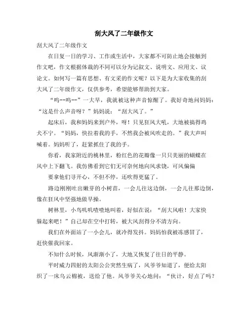 刮大风了二年级作文