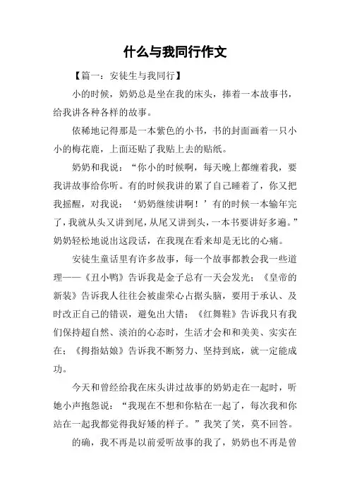 什么与我同行作文