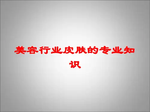 美容行业皮肤的专业知识培训课件