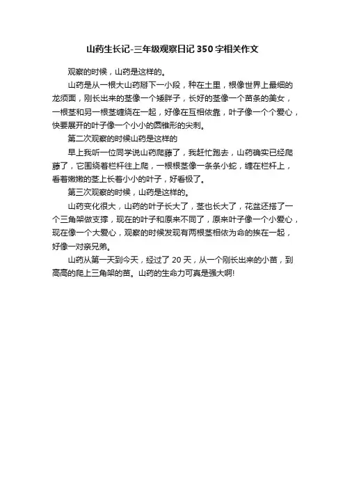 山药生长记-三年级观察日记350字相关作文