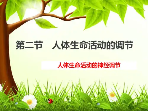 神经调节完美课件