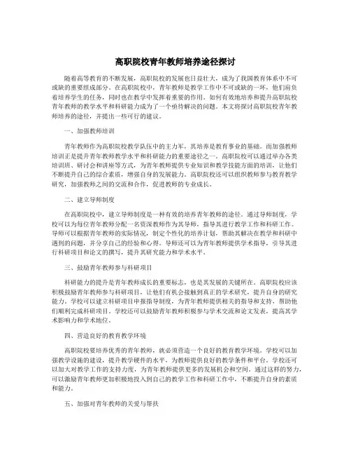 高职院校青年教师培养途径探讨