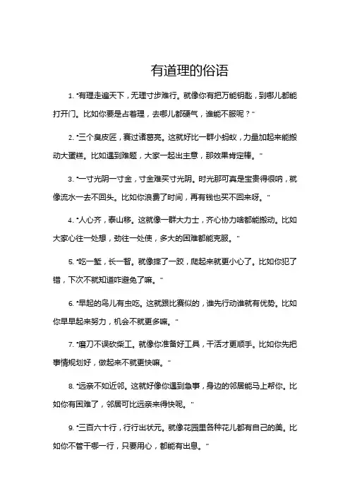 有道理的俗语