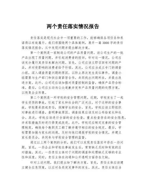 两个责任落实情况报告