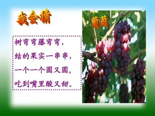 新人教课标版小学二年级语文下册  10  葡萄沟  课件
