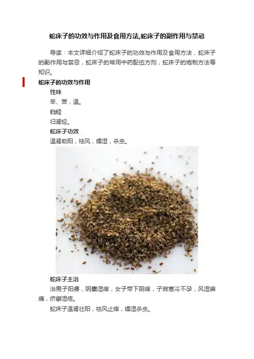 蛇床子的功效与作用及食用方法,蛇床子的副作用与禁忌