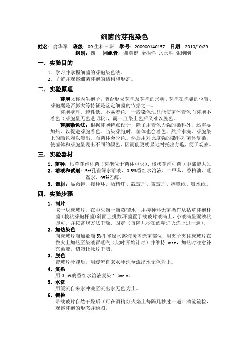 细菌的芽孢染色