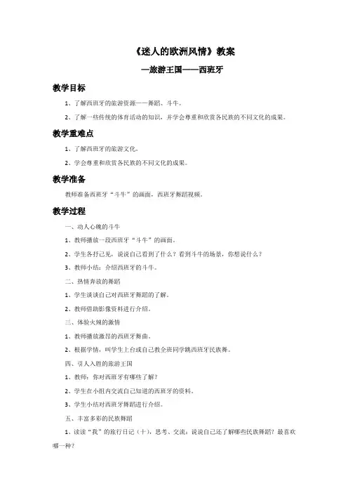《迷人的欧洲风情》教案1